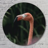 Muurcirkel ⌀ 100 cm - Flamingo - Aluminium Dibond - Dieren - Rond Schilderij - Wandcirkel - Wanddecoratie