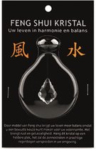 Feng shui raamhanger esdoornblad - 2 cm - transparant