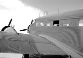 Tuinposter - Vliegtuig - Airplane in wit / zwart  - 80 x 120 cm.