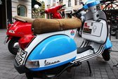 Tuinposter - Scooter - Vespa in wit / blauw / zwart  - 80 x 120 cm.