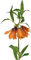 Viv! Home Luxuries Fritillaria - zijden bloem - keizerskroon - oranje - 82cm - topkwaliteit