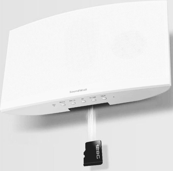 Verbonden regio formeel TWS Bluetooth Stereo Speaker - Wandluidspreker - Afstandsbediening - Met  Radio | bol.com