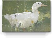 De witte woerd - Joseph Crawhall - 30 x 19,5 cm - Niet van echt te onderscheiden houten schilderijtje - Mooier dan een schilderij op canvas - Laqueprint.