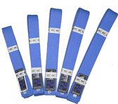 Winartton 12 riemen karate riem display rek met stickers, vechtsport riem display houder, Taekwondo riem Jiu Jitsu riem display opknoping houder voor kinderen en volwassenen geschenken