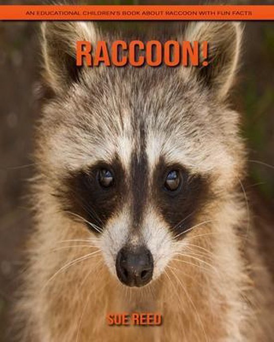 Raccoon! An Educational Children's Book about Raccoon with Fun Facts ...