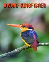 Dwarf Kingfisher