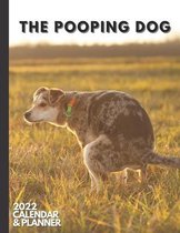 The Pooping Dog