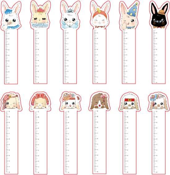 Signets et Règles Lapins | Marque-page | Règle | Signets mignons de lapin mignon | Règle de 11 cm | 30 Signets différents | 30 Règles différentes