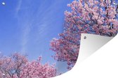 Tuindecoratie Kersenbloesem tegen blauwe hemel - 60x40 cm - Tuinposter - Tuindoek - Buitenposter