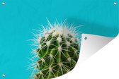 Cactus sur toile de jardin bleu affiche en vrac