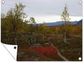Tuinschilderij Het herfstlandschap van het Nationaal park Padjelanta in Zweden - 80x60 cm - Tuinposter - Tuindoek - Buitenposter