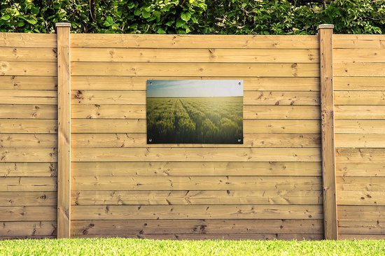 Tuinposter 90x60 cm - Tuindecoratie Landbouw in de vroege ochtend - Poster voor in de tuin - Buiten decoratie - Schutting tuinschilderij - Tuindoek muurdecoratie - Wanddecoratie balkondoek