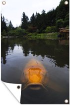 Tuinposter - Tuindoek - Tuinposters buiten - Een gigantische koi karper in het water - 80x120 cm - Tuin