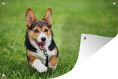 Tuinposter - Tuindoek - Tuinposters buiten - Rennende hond - 120x80 cm - Tuin