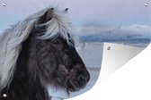 Muurdecoratie Paard - Sneeuw - Bruin - 180x120 cm - Tuinposter - Tuindoek - Buitenposter