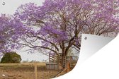 Muurdecoratie Jacaranda bomen aan een hek - 180x120 cm - Tuinposter - Tuindoek - Buitenposter