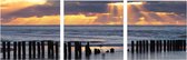 hollum met paaltjes zonsondergang op Ameland - drieluik set van 20 x 20 cm plexiglas