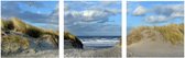 zeezicht en meeuwen op Ameland - drieluik set van 20 x 20 cm op plexiglas