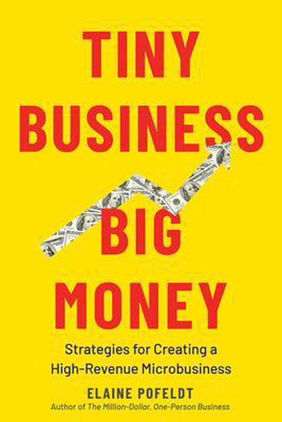 Tiny Business, Big Money - cover
