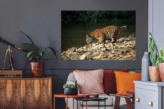 Sticker Muursticker Bébé tigre - bébé tigre - 120x80 cm - film adhésif autocollant - sticker mural repositionnable