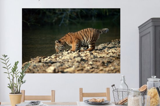 Sticker Muursticker Bébé tigre - bébé tigre - 120x80 cm - film adhésif autocollant - sticker mural repositionnable