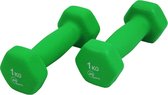 JPS Sports Dumbells - Dumbells Set 2 x 1 kg - Gewichten - Halters - Groen