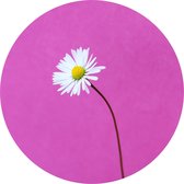 Muurcirkel  Madeliefje No3 - buiten en binnen - bloemen en planten - Ø 50 cm