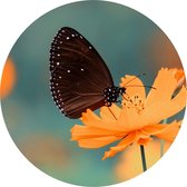 Muurcirkel Bloem met vlinder - buiten en binnen - bloemen en planten - tuinposter - Ø 50 cm