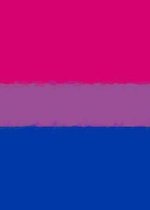 Bisexual Pride Flag Sketch Journal