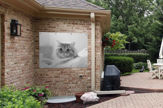 Affiche jardin - Toile Posters de jardin extérieur - Gros plan chat - noir et blanc - 120x90 cm - Jardin