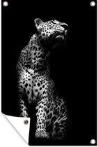 Tuinposter - Tuindoek - Tuinposters buiten - Portret van een luipaard tegen een donkere achtergrond - zwart wit - 80x120 cm - Tuin