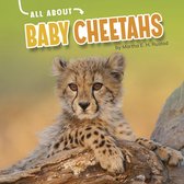 Oh Baby! - All About Baby Cheetahs