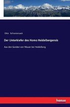 Der Unterkiefer des Homo Heidelbergensis