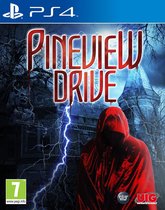 Pineview Drive - PS4