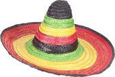 HOANG LONG - Veelkleurige Mexicaanse sombrero voor volwassenen - Hoeden > Strohoeden