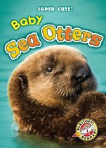 Super Cute! - Baby Sea Otters