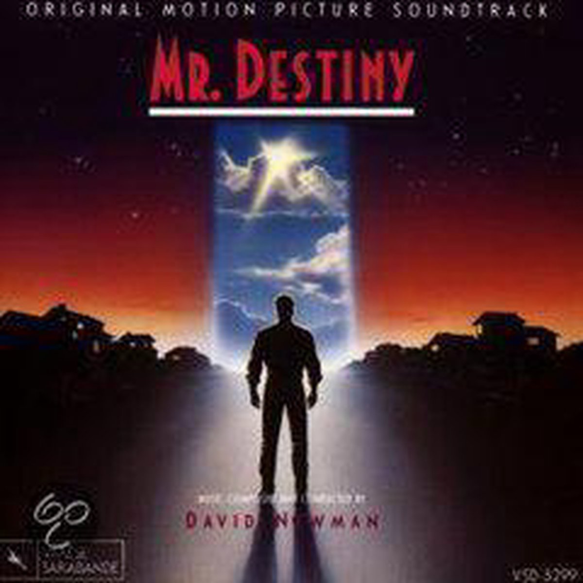 Mr. Destiny