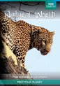 Natural World: The Invisible Leopard