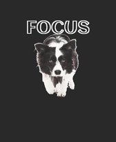 Focus