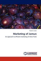 Marketing of Jamun