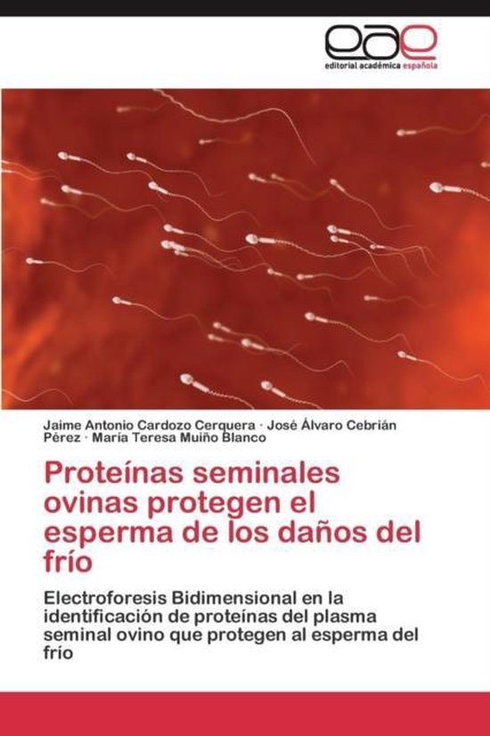 Proteínas seminales ovinas protegen el esperma de los daño ... - cover