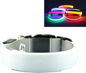 LED Halsband RGB- M
