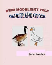 Gander and Goose