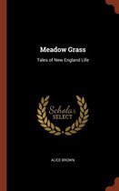 Meadow Grass