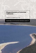 Biogeochemistry of Intertidal Sediments