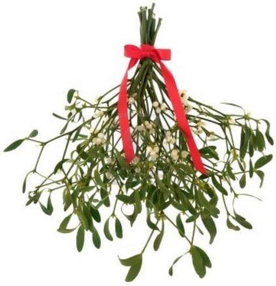 Branche de Baies en Plastique - Rouge et Or
