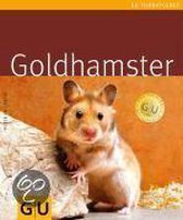 Goldhamster
