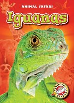 Animal Safari - Iguanas
