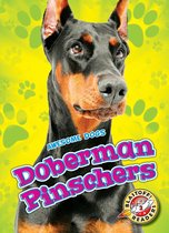 Awesome Dogs - Doberman Pinschers