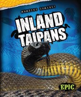 Amazing Snakes! - Inland Taipans
